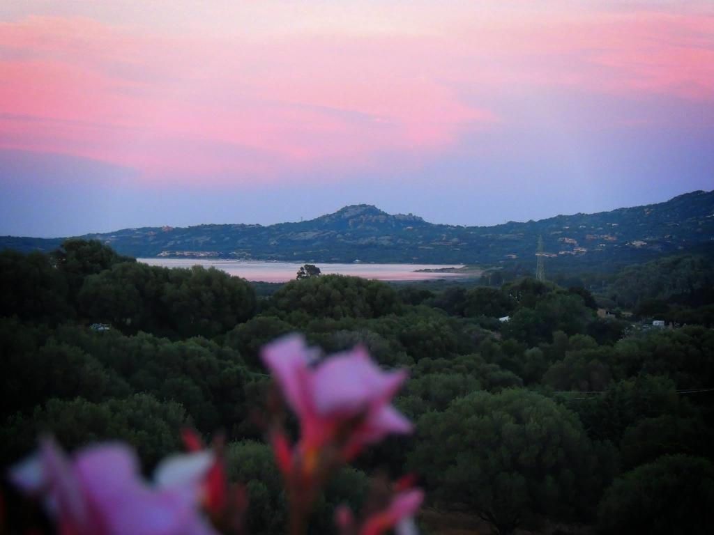 Agriturismo Sa Mendhula Cugnana Quarto foto